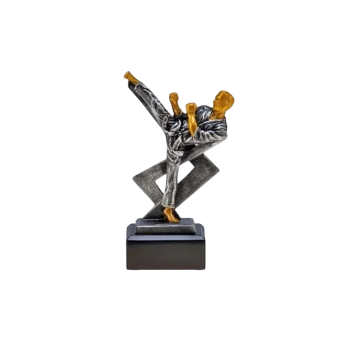 Taekwondo Competition 7 Gold 4 Silver Nov 2022